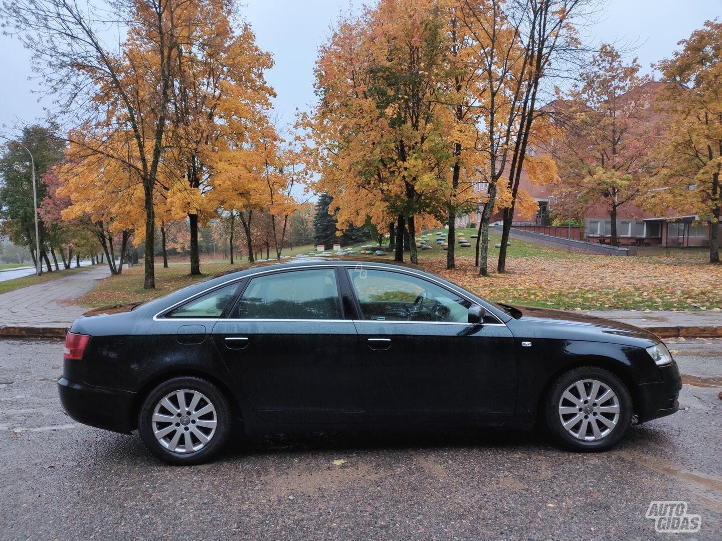 Audi A6 2006 m Sedanas