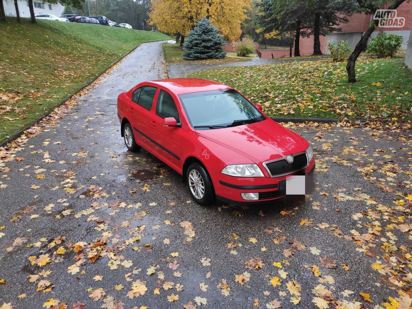 Skoda Octavia 2007 m Hečbekas