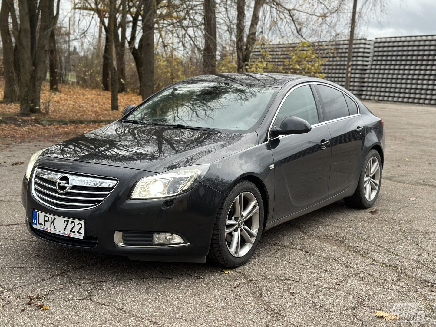 Opel Insignia 2009 г Хэтчбек