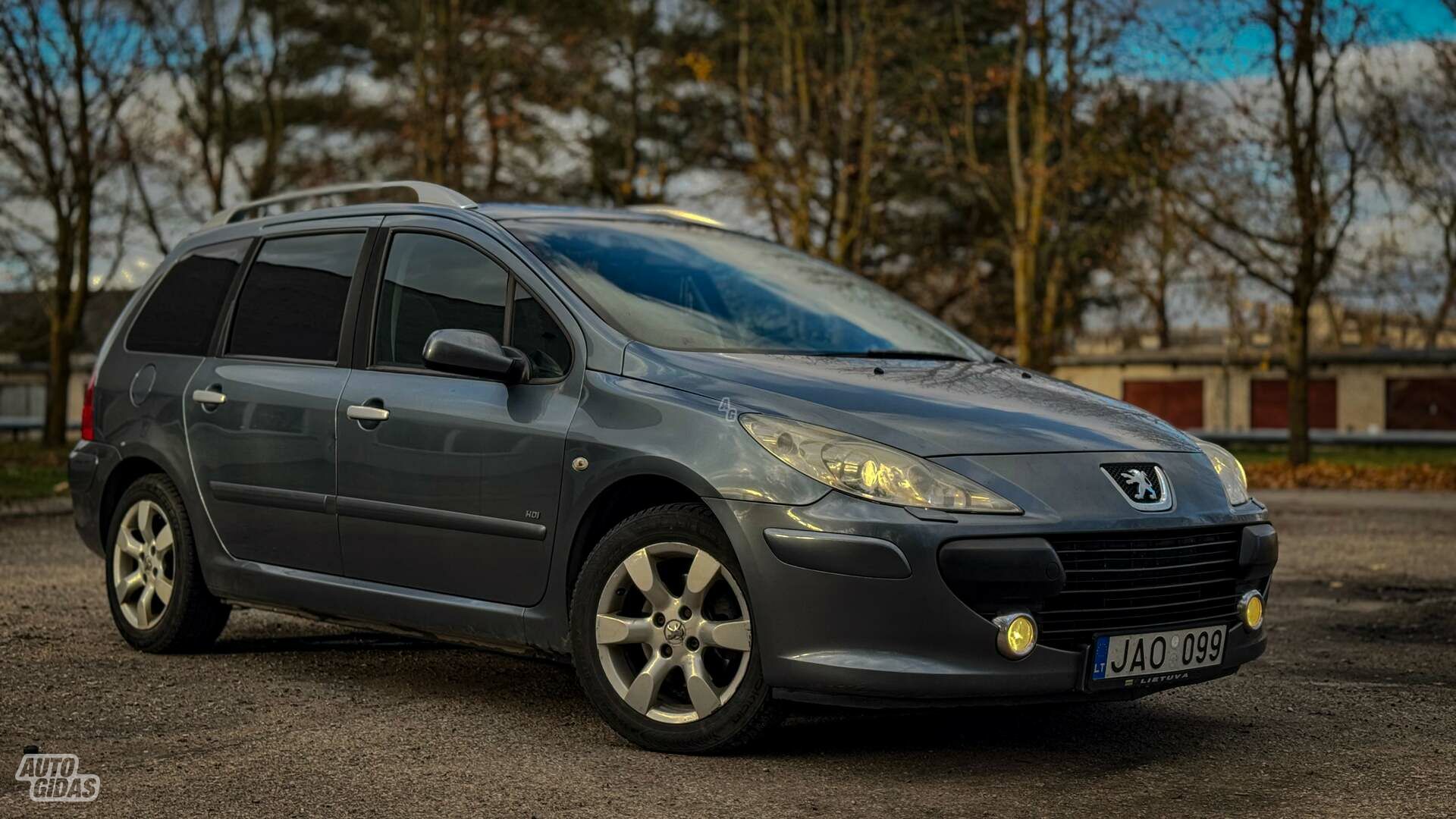 Peugeot 307 2007 y Wagon