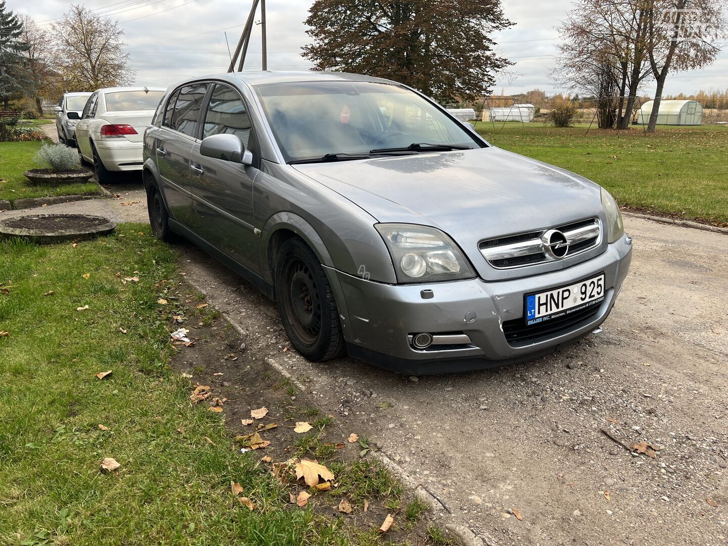 Opel Signum 2004 m Hečbekas