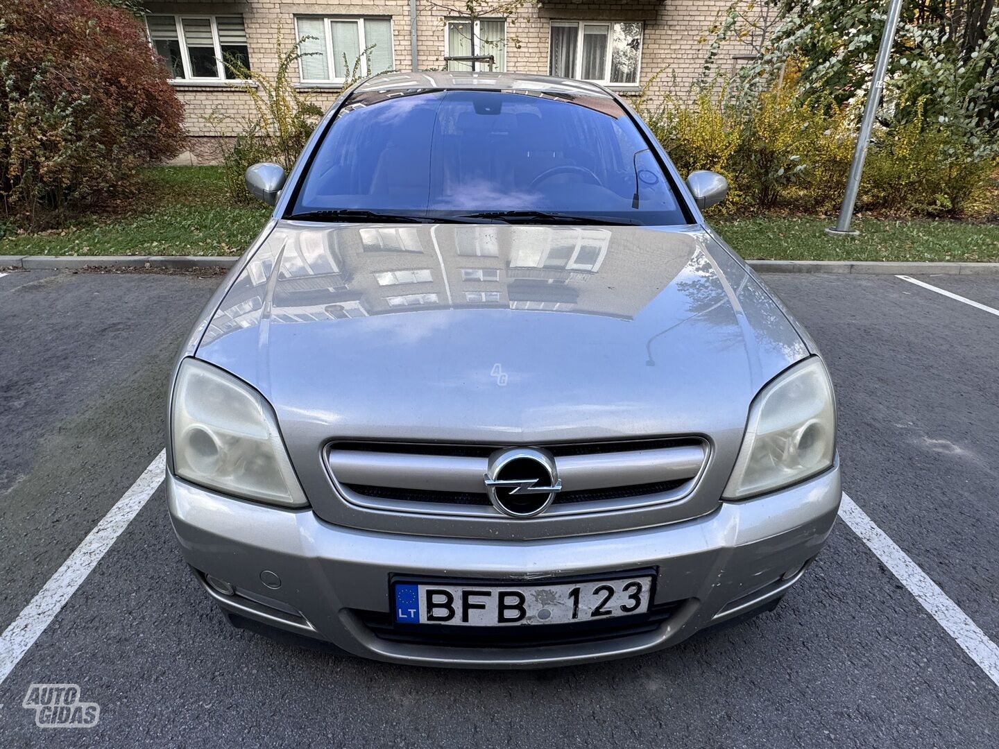 Opel Signum 2003 m Hečbekas