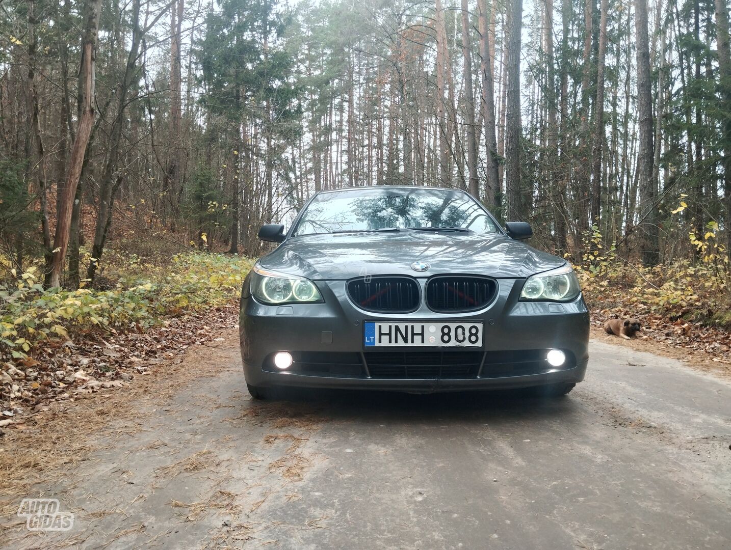 Bmw 525 E60 2004 y