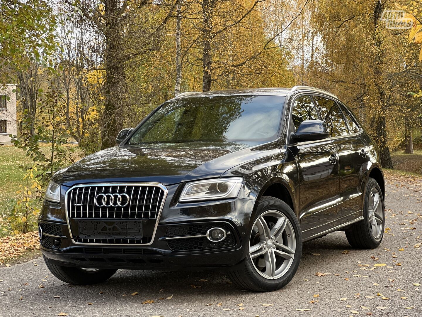 Audi Q5 I TDI 2013 m