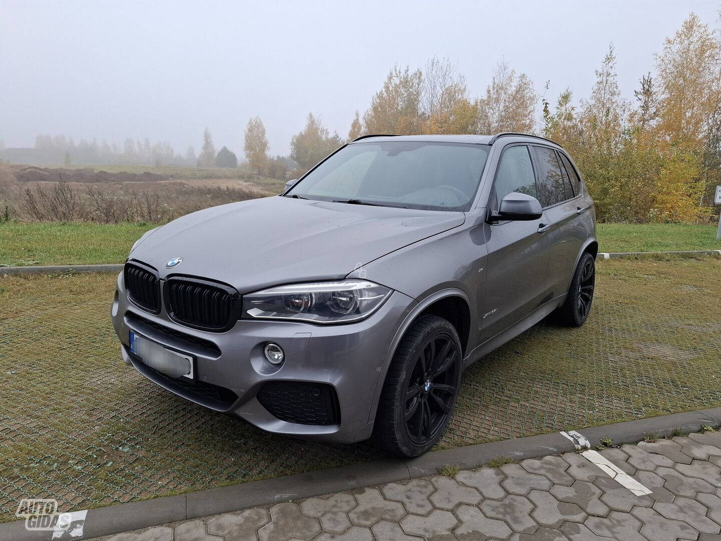 Bmw X5 F15 2015 г