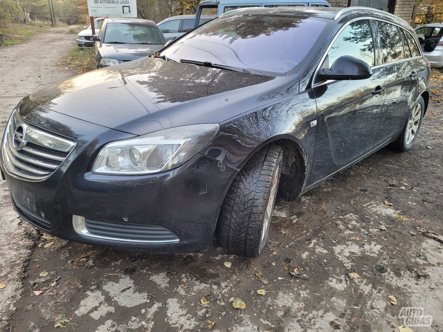 Opel Insignia 2010 m dalys