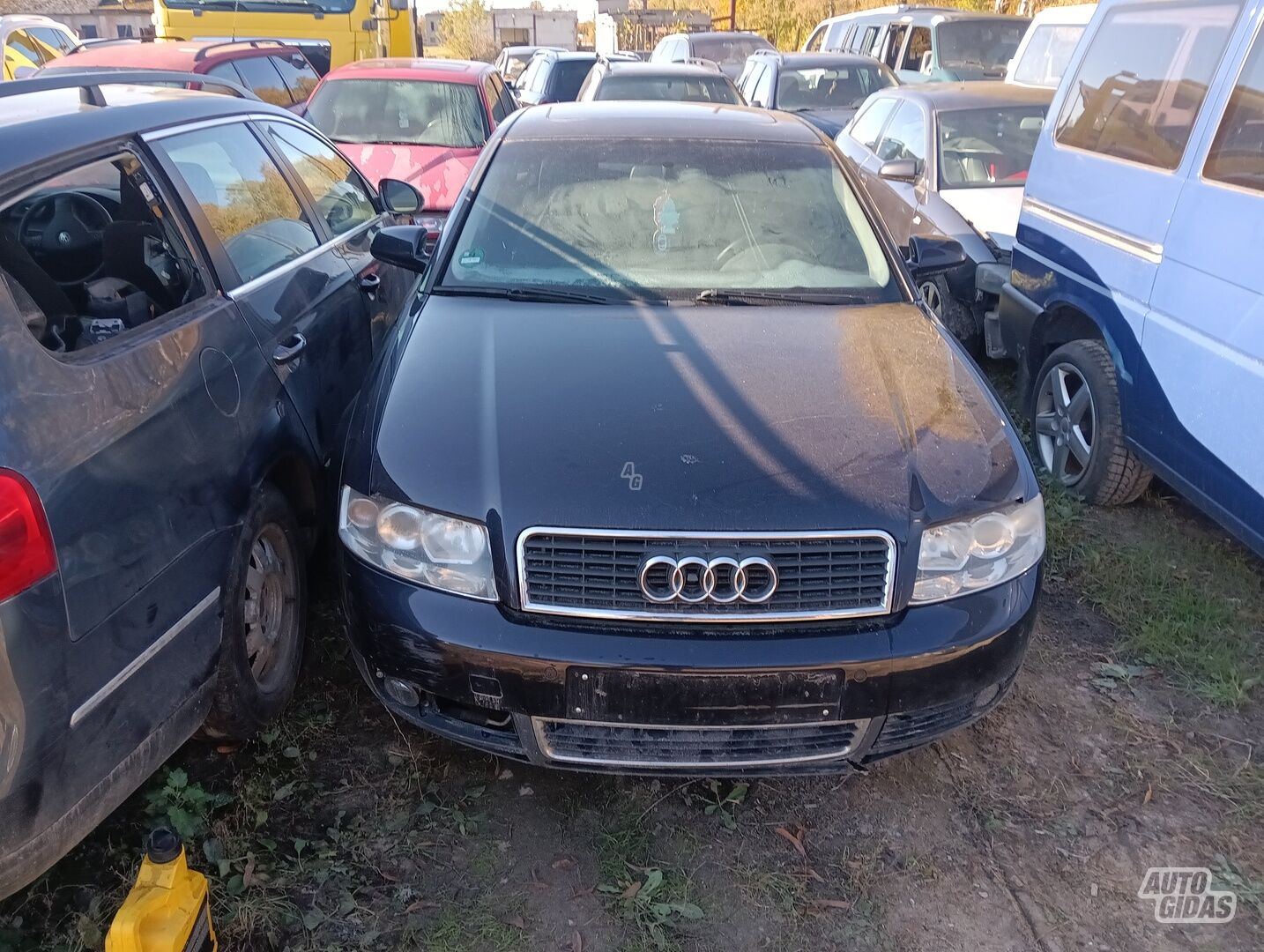 Audi A4 B6 Alt 2004 m dalys