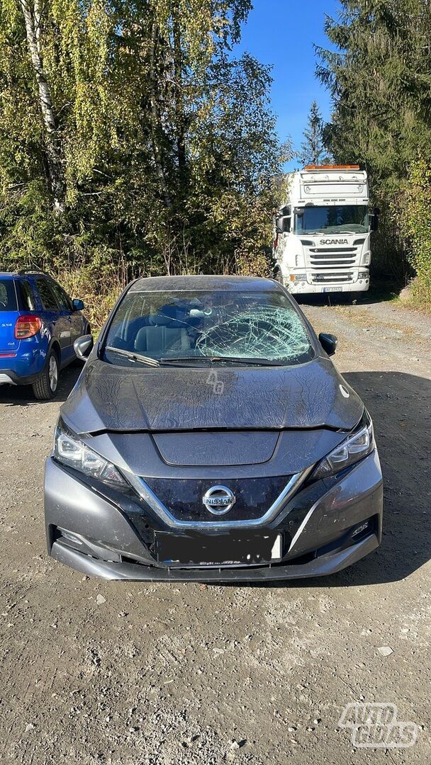 Nissan Leaf 2019 m dalys