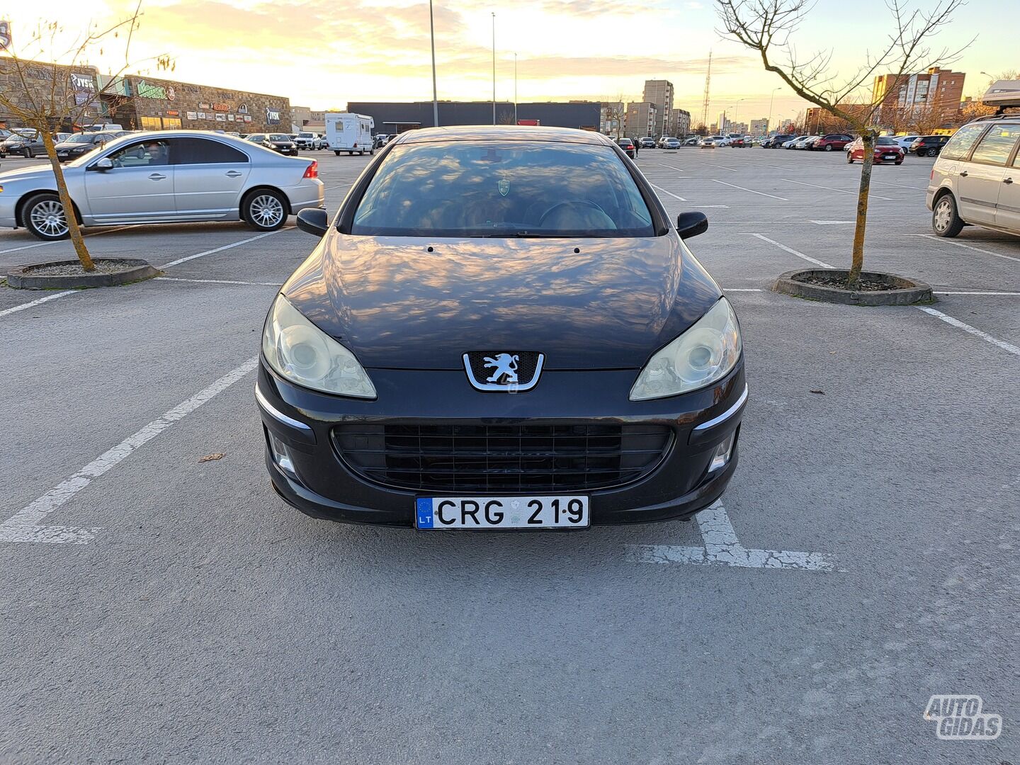 Peugeot 407 2007 y Sedan