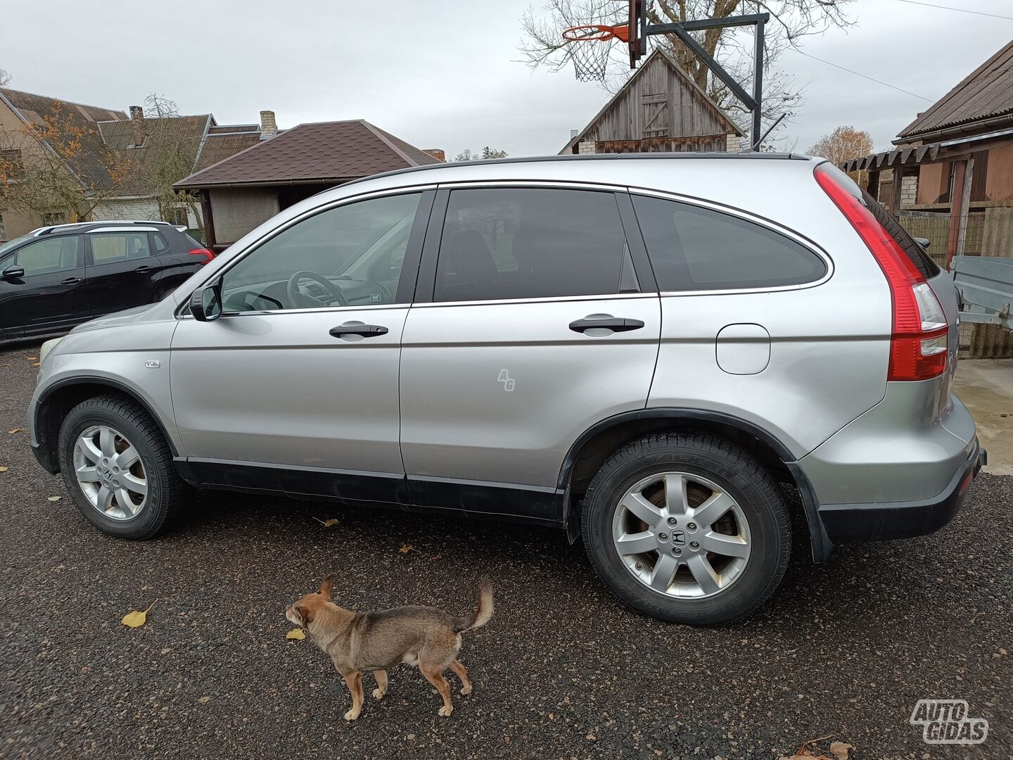 Honda CR-V 12886 2009 m