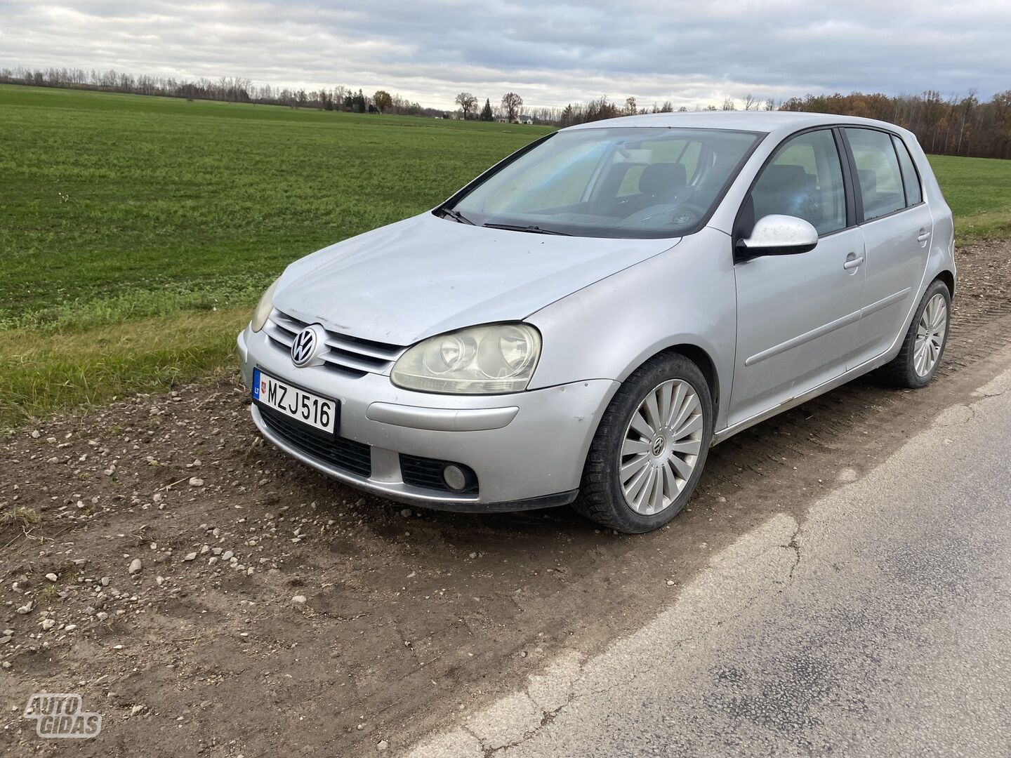 Volkswagen Golf 2004 m Hečbekas