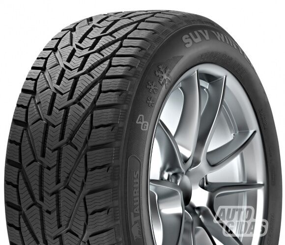 Taurus Taurus Winter R16 winter tyres passanger car