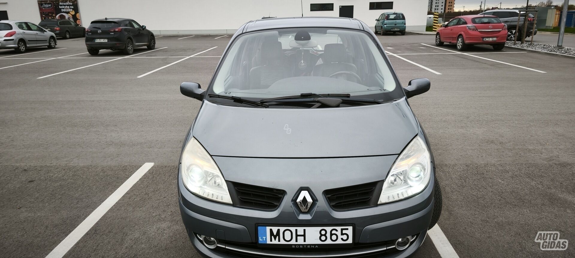 Renault Scenic 2007 m Vienatūris