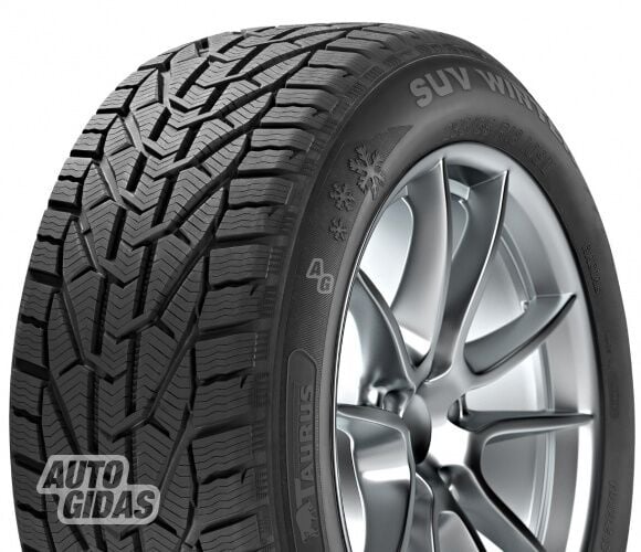 Taurus Taurus Winter R15 winter tyres passanger car