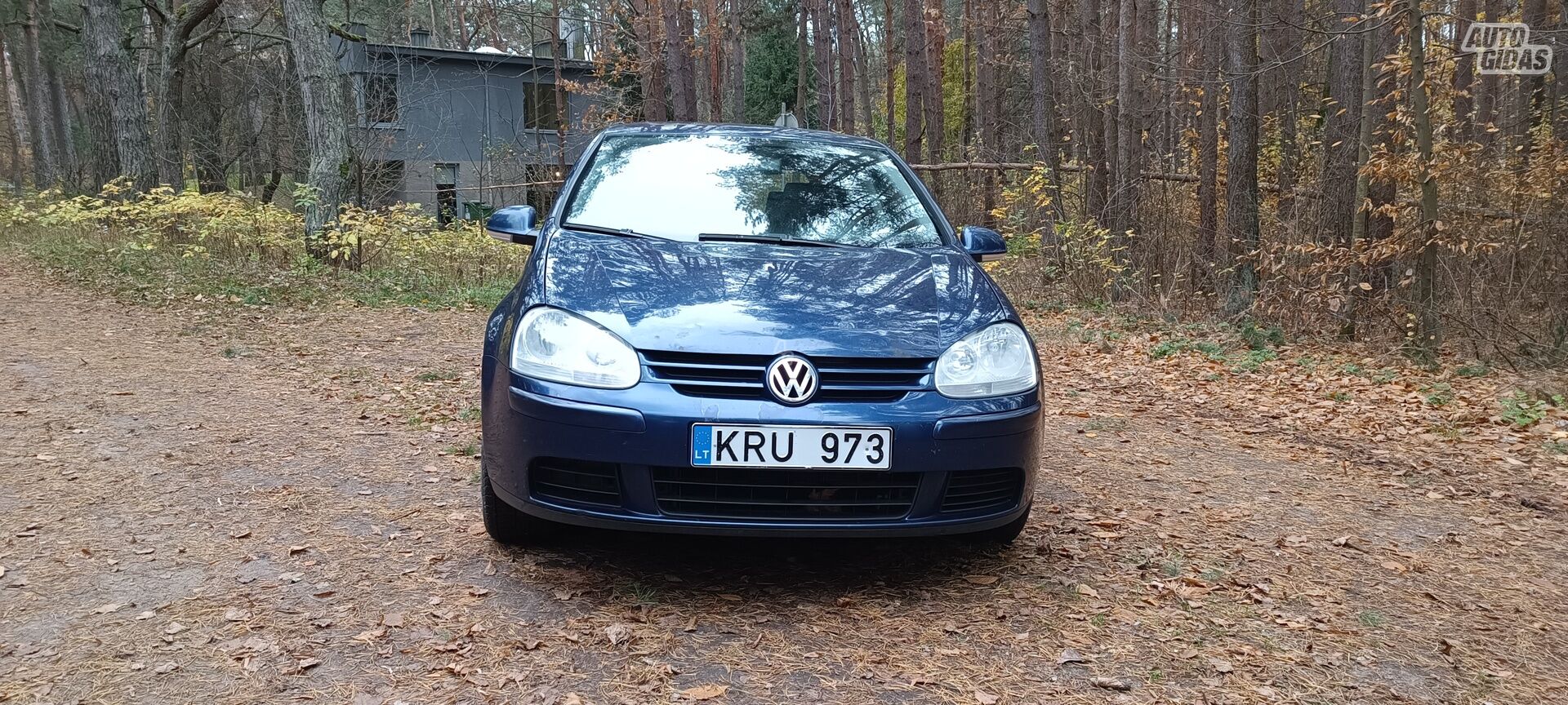 Volkswagen Golf V Tdi 2004 m