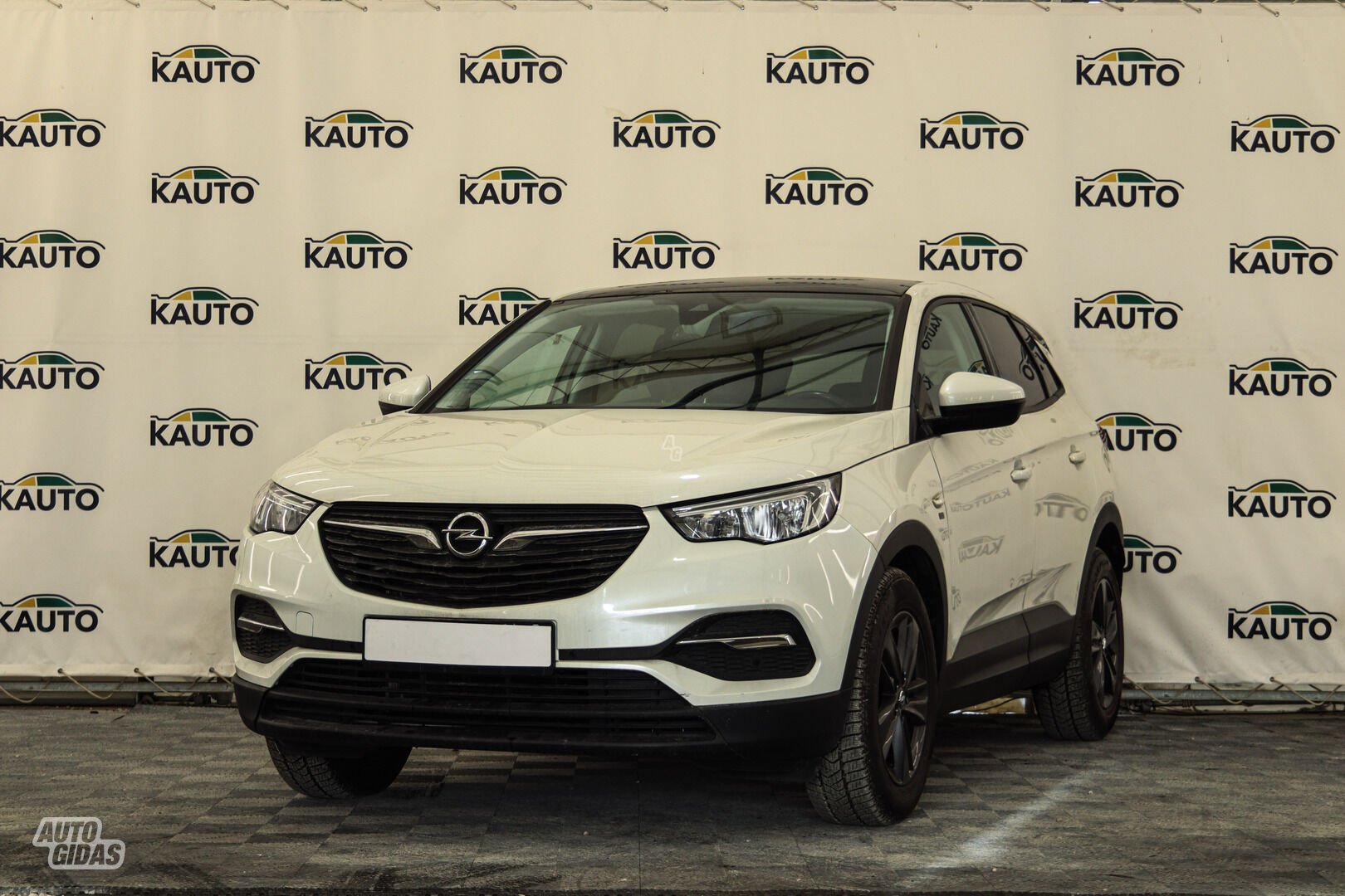 Opel Grandland X 2019 m Visureigis / Krosoveris