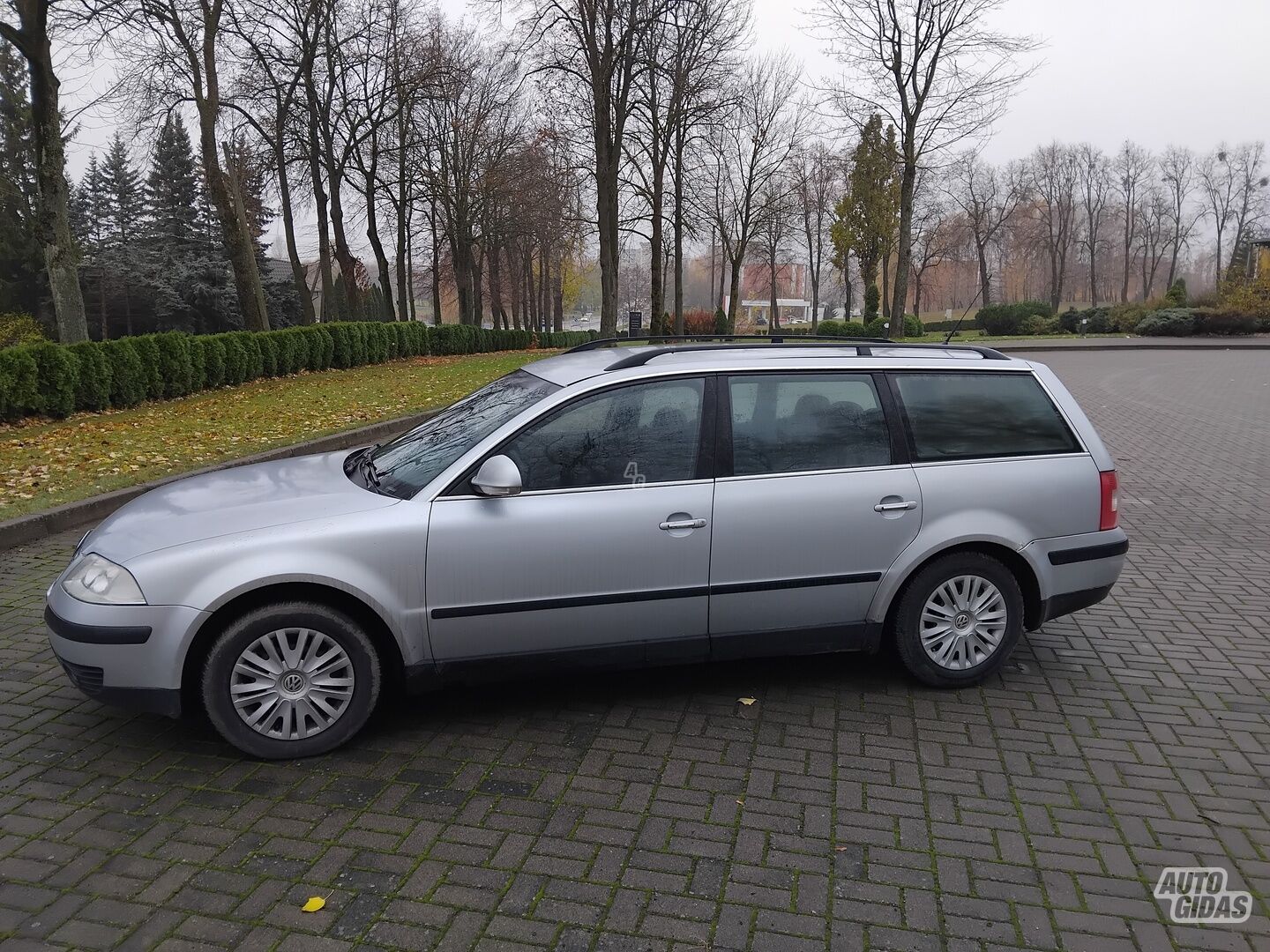 Volkswagen Passat 2004 y Wagon