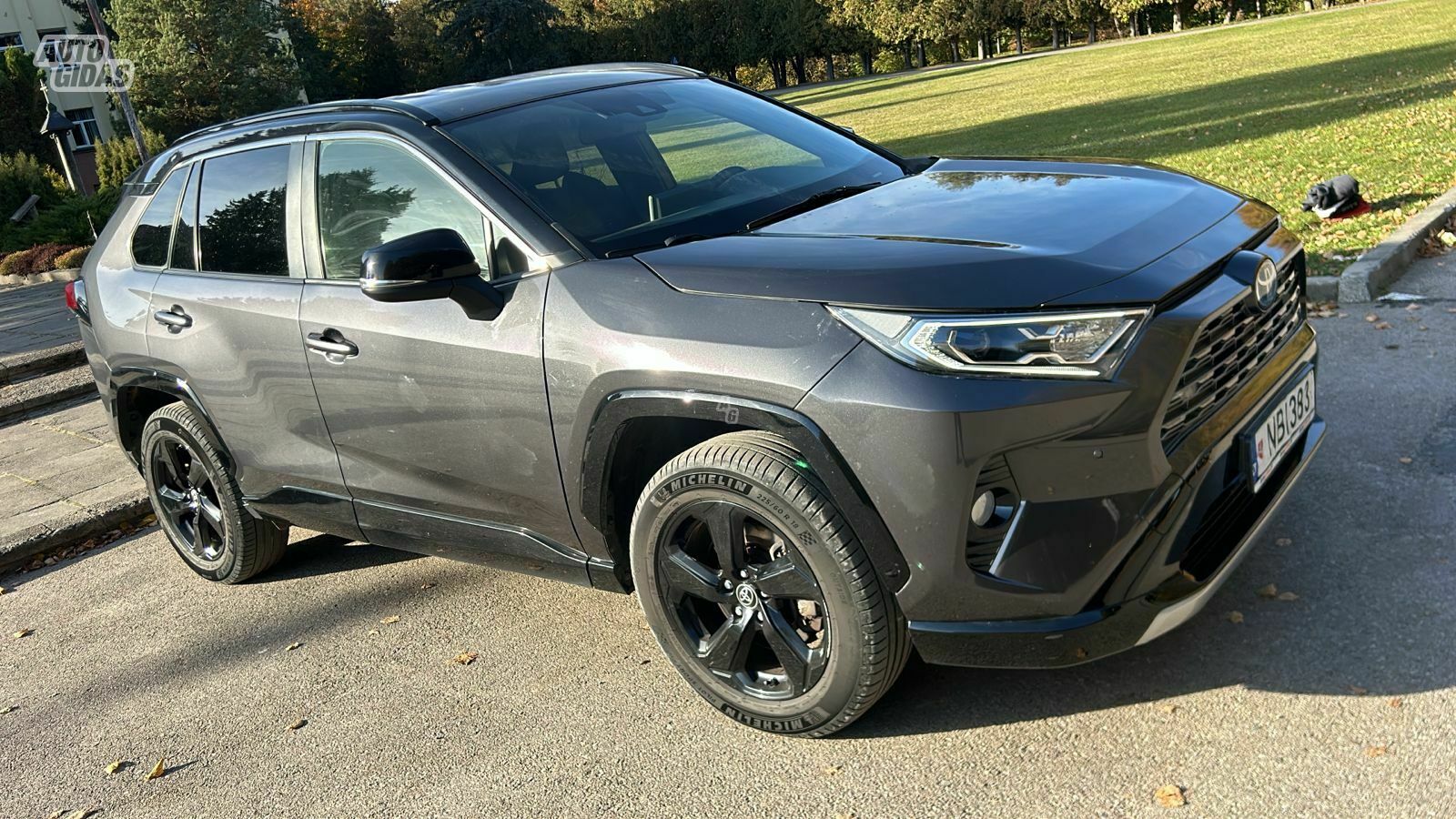 Toyota RAV4 2020 m Visureigis / Krosoveris