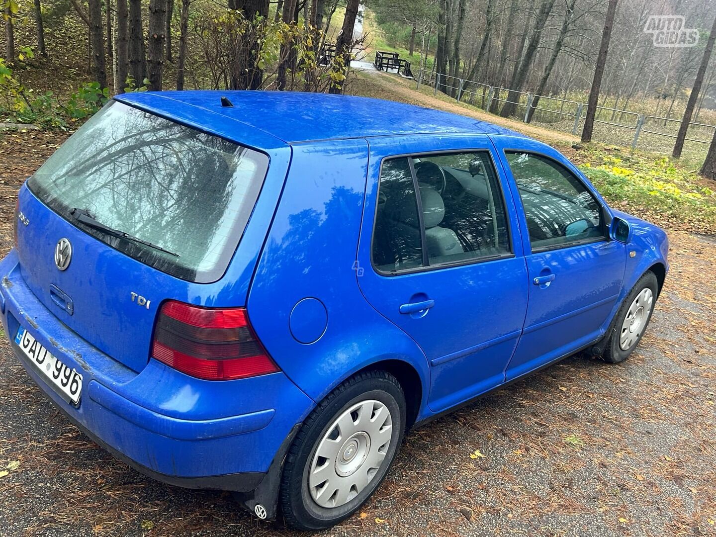 Volkswagen Golf IV 1999 m