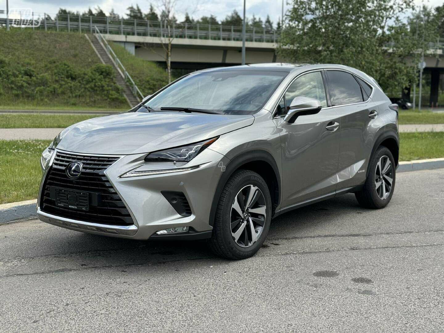 Lexus NX 300h I 2018 m