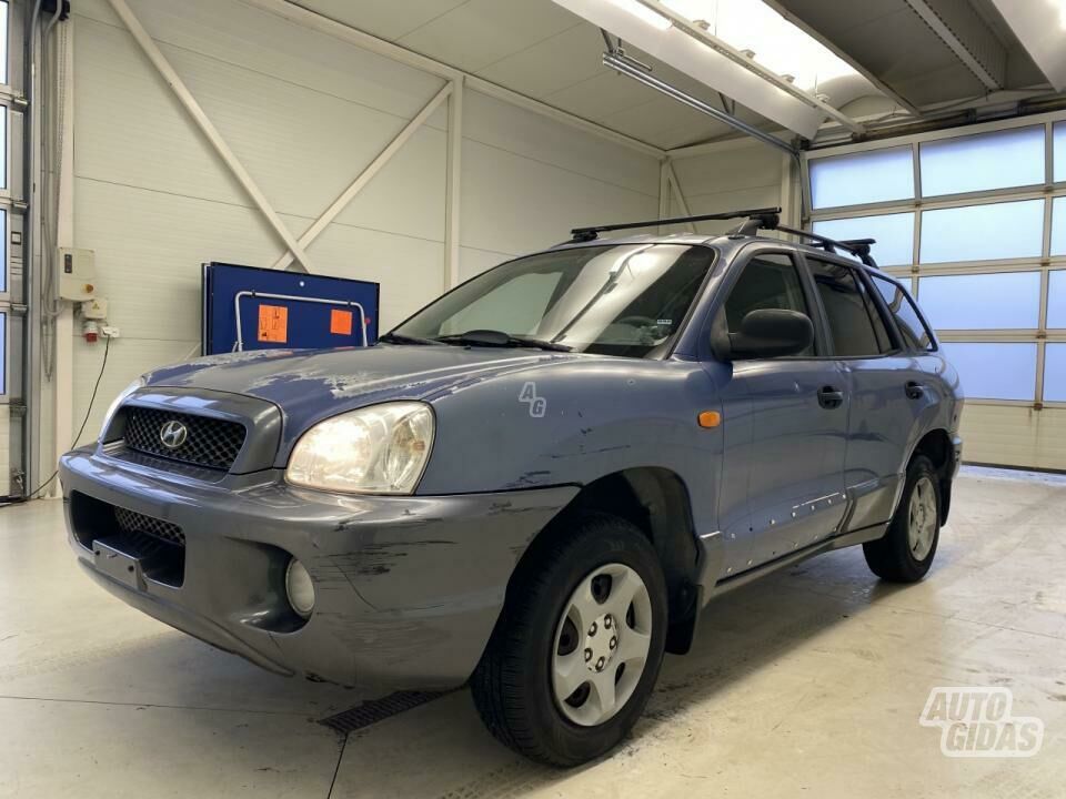 Hyundai Grand Santa Fe 2003 г Другой