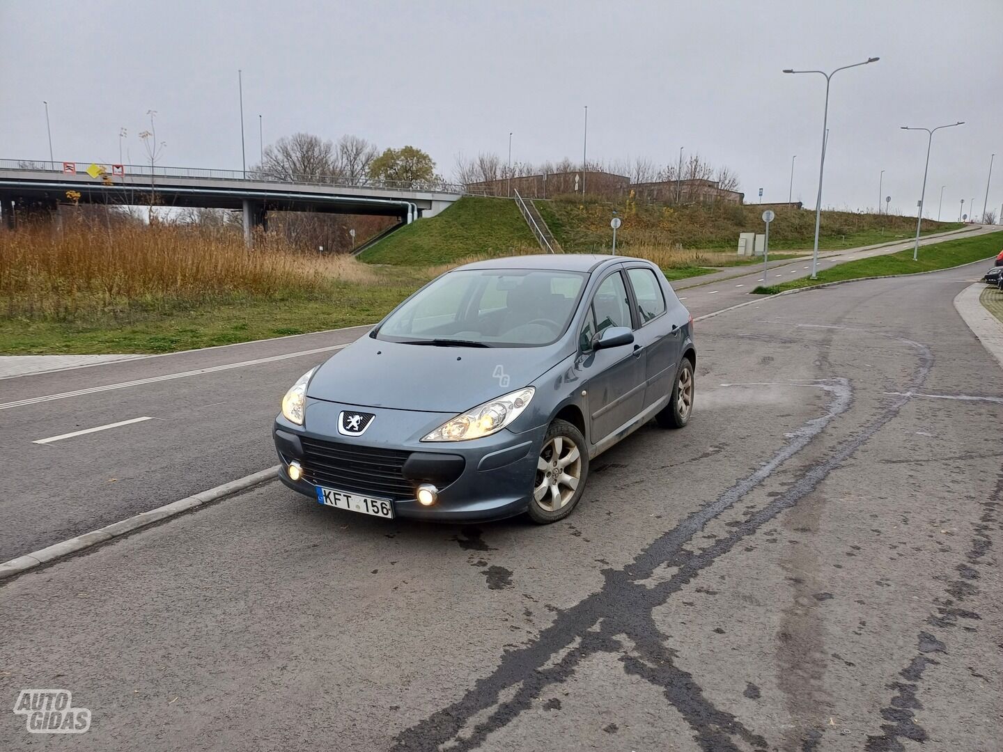 Peugeot 307 2007 y Hatchback