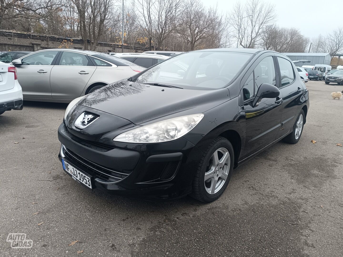 Peugeot 308 2008 г Хэтчбек