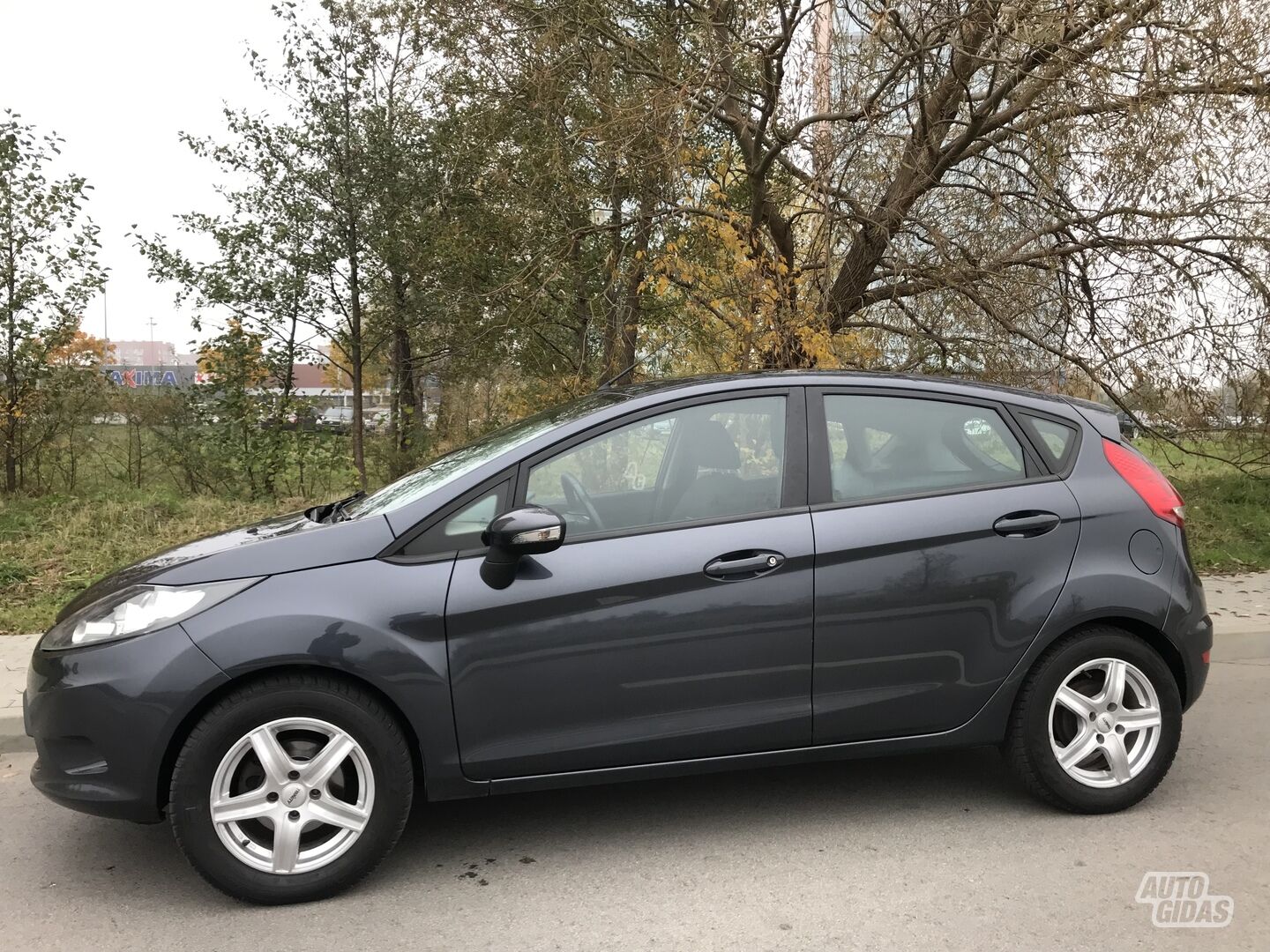 Ford Fiesta 2010 г Хэтчбек