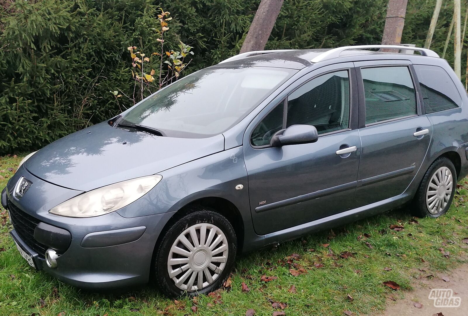 Peugeot 307 2006 y Wagon