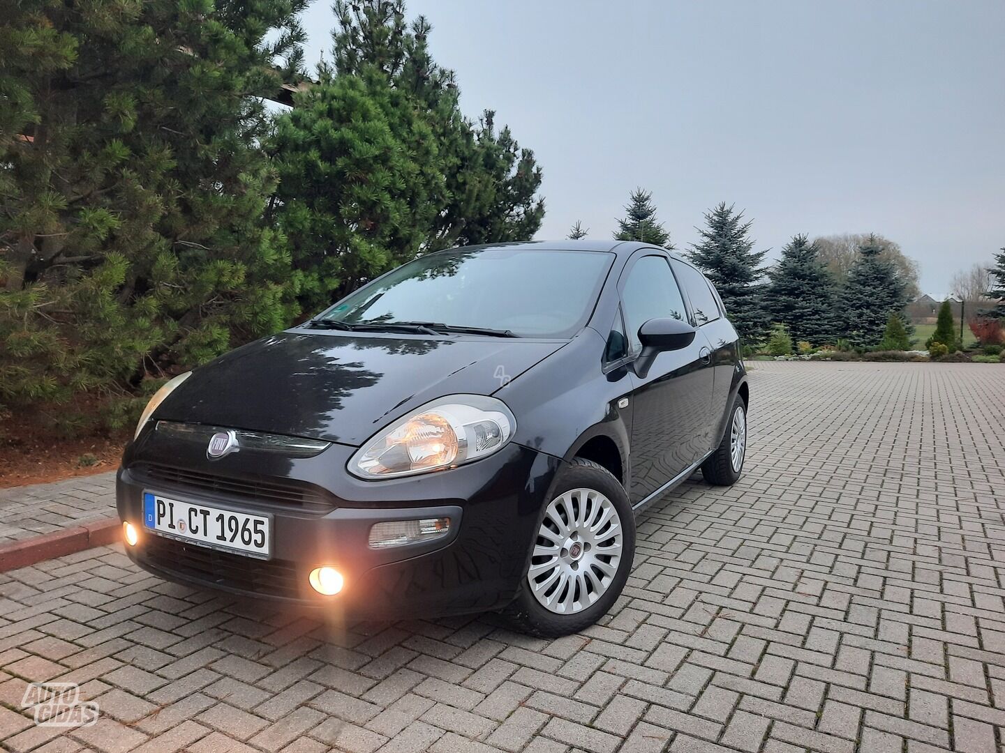 Fiat Punto Evo 2010 y Hatchback