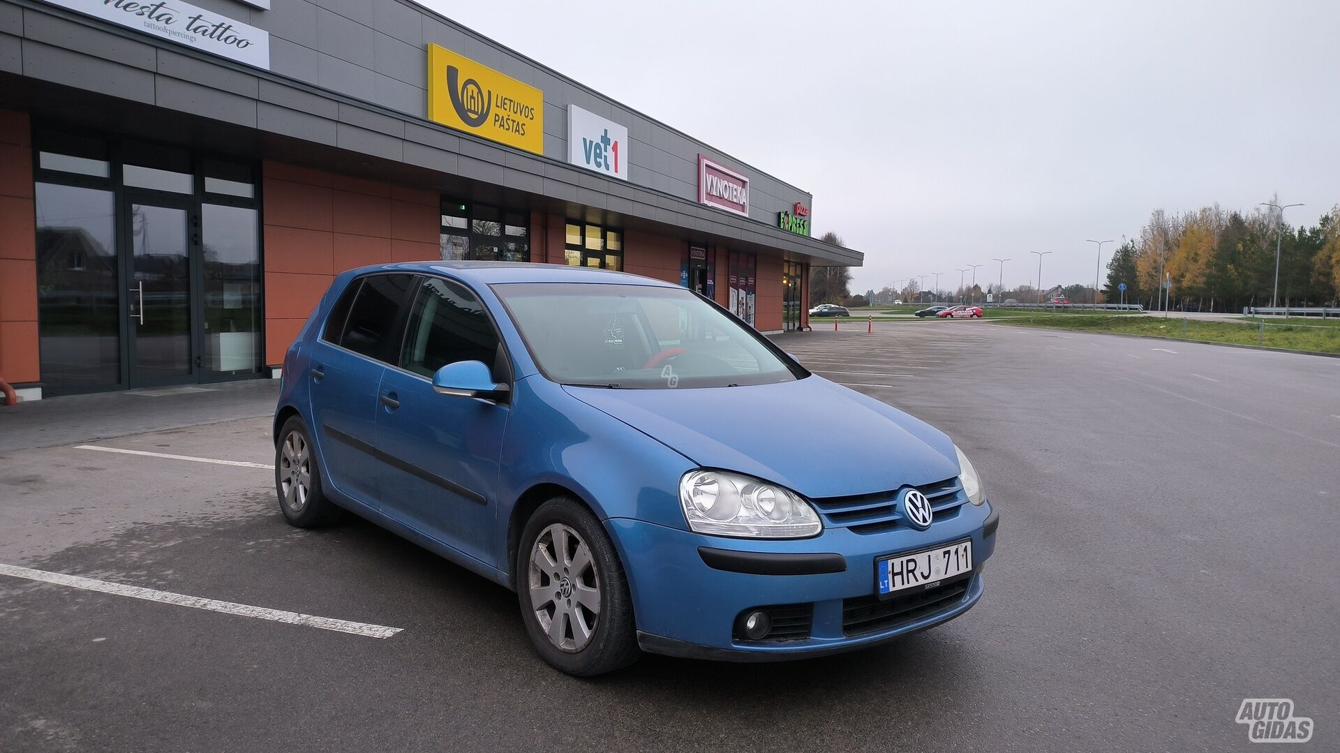 Volkswagen Golf 2004 m Hečbekas