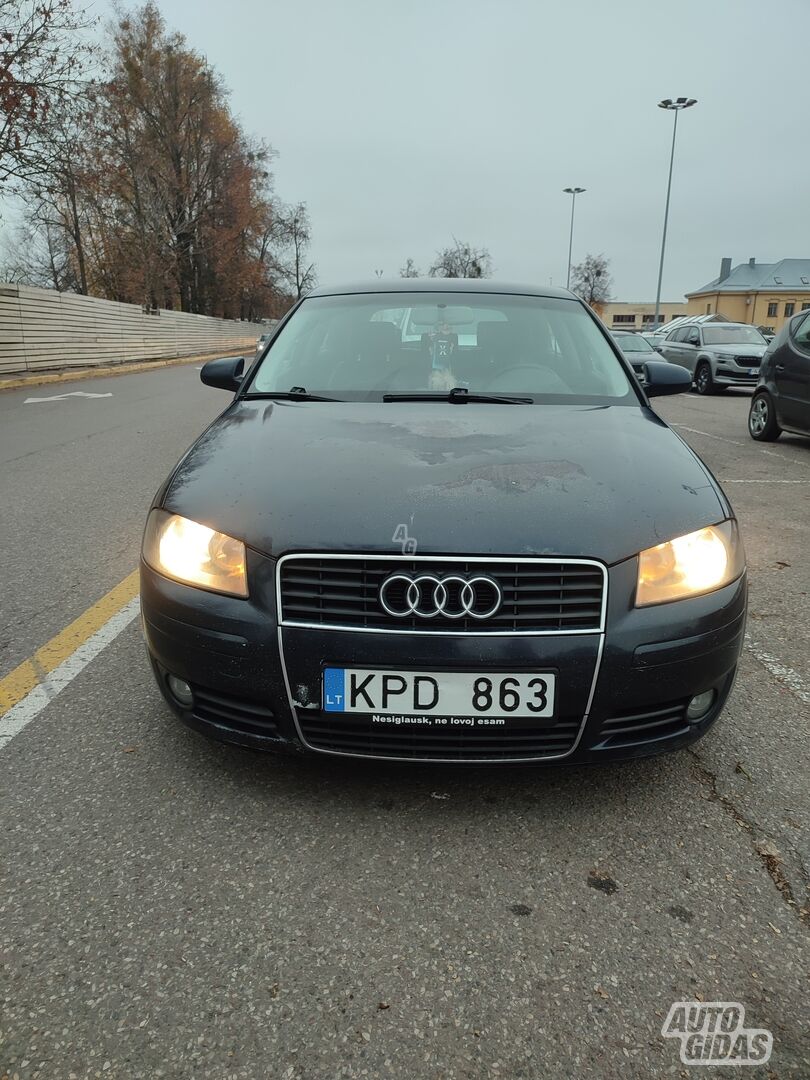 Audi A3 2004 m Hečbekas