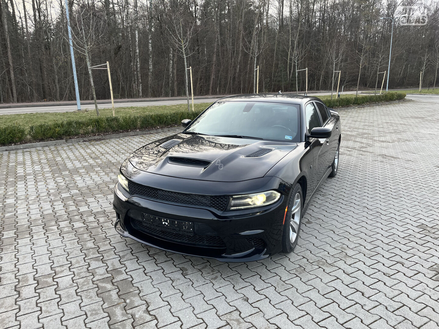 Dodge Charger 2017 m Sedanas