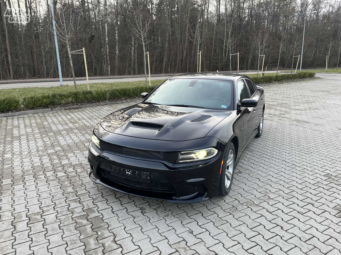 Dodge Charger VII SXT 2017 г