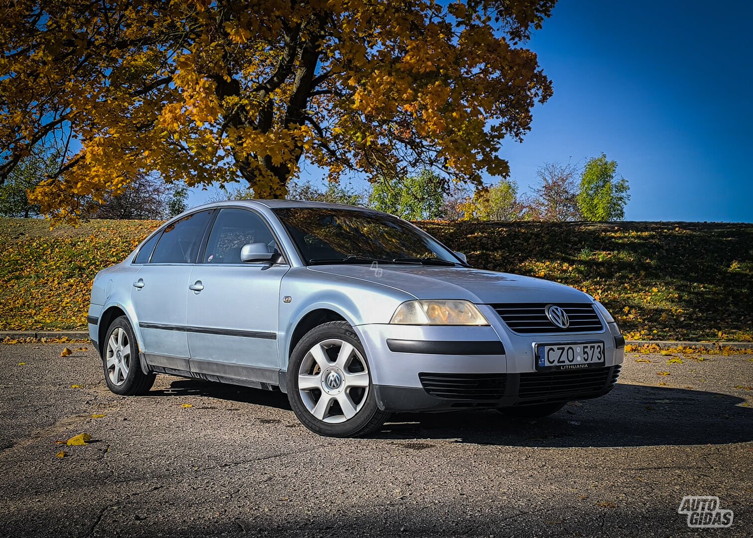 Volkswagen Passat 23092 2001 m