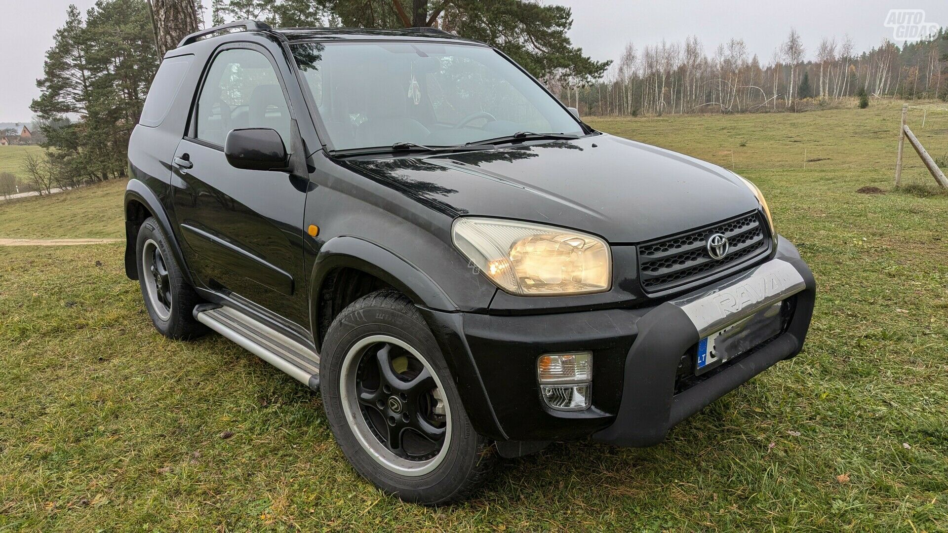 Toyota RAV4 2001 г Внедорожник / Кроссовер