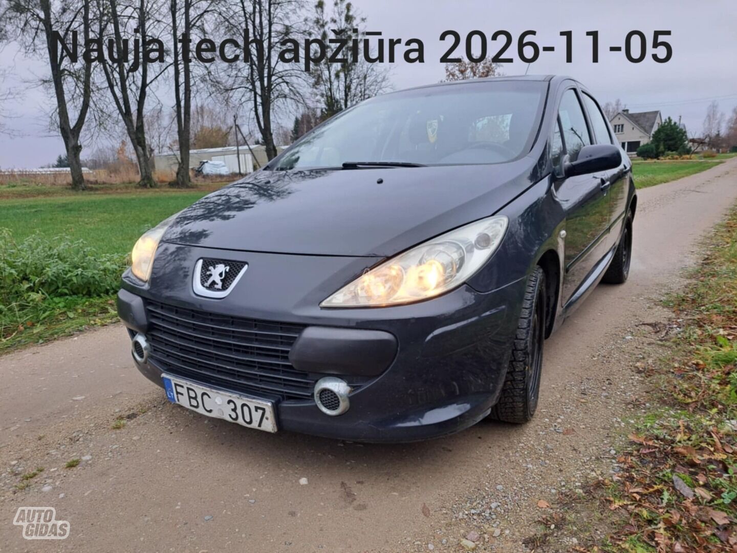 Peugeot 307 Hdi 2006 y