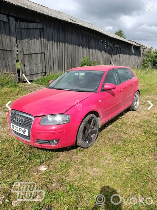 Audi A3 8PA 2009 m dalys