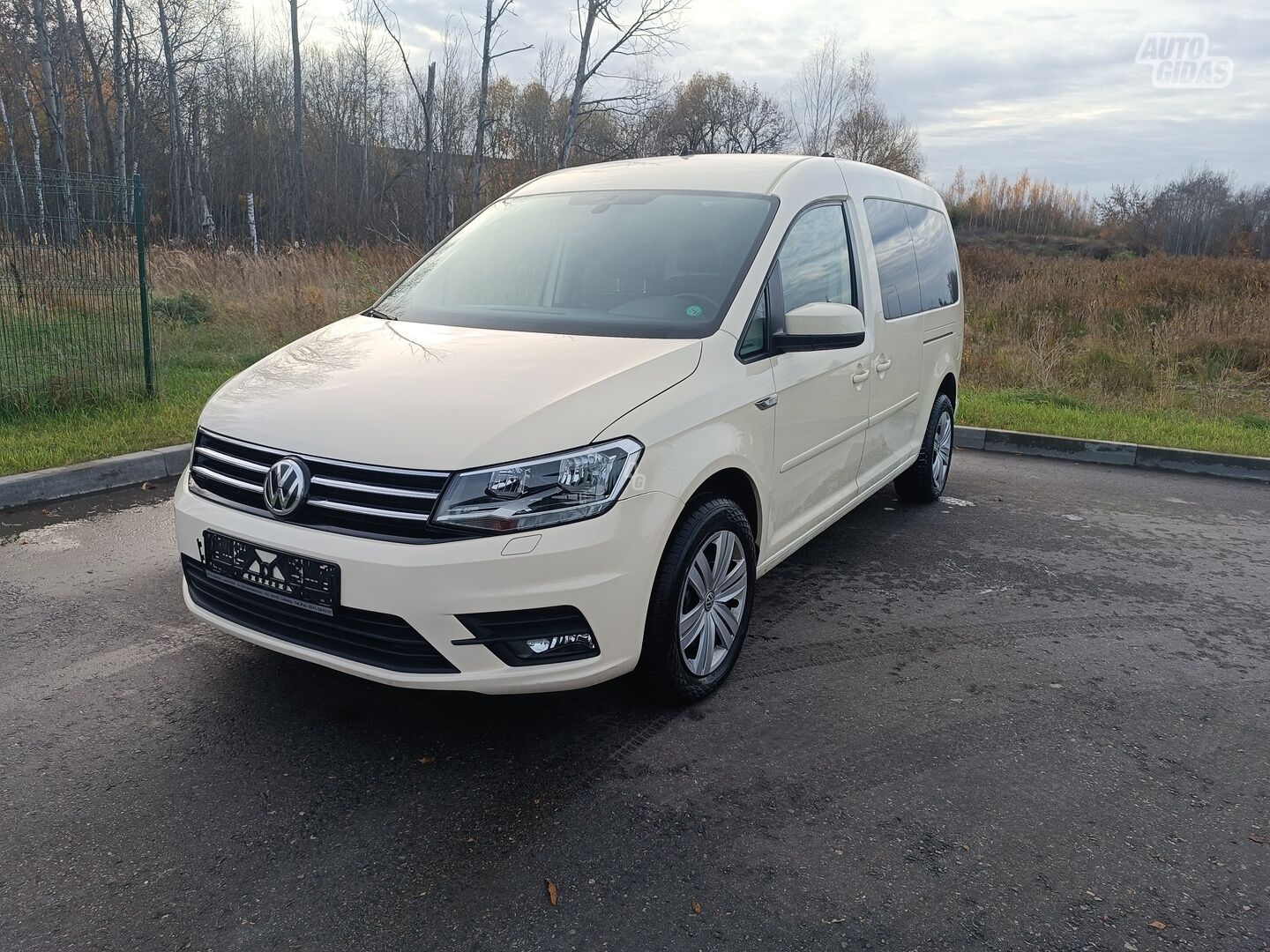 Volkswagen Caddy Maxi 2019 y Van