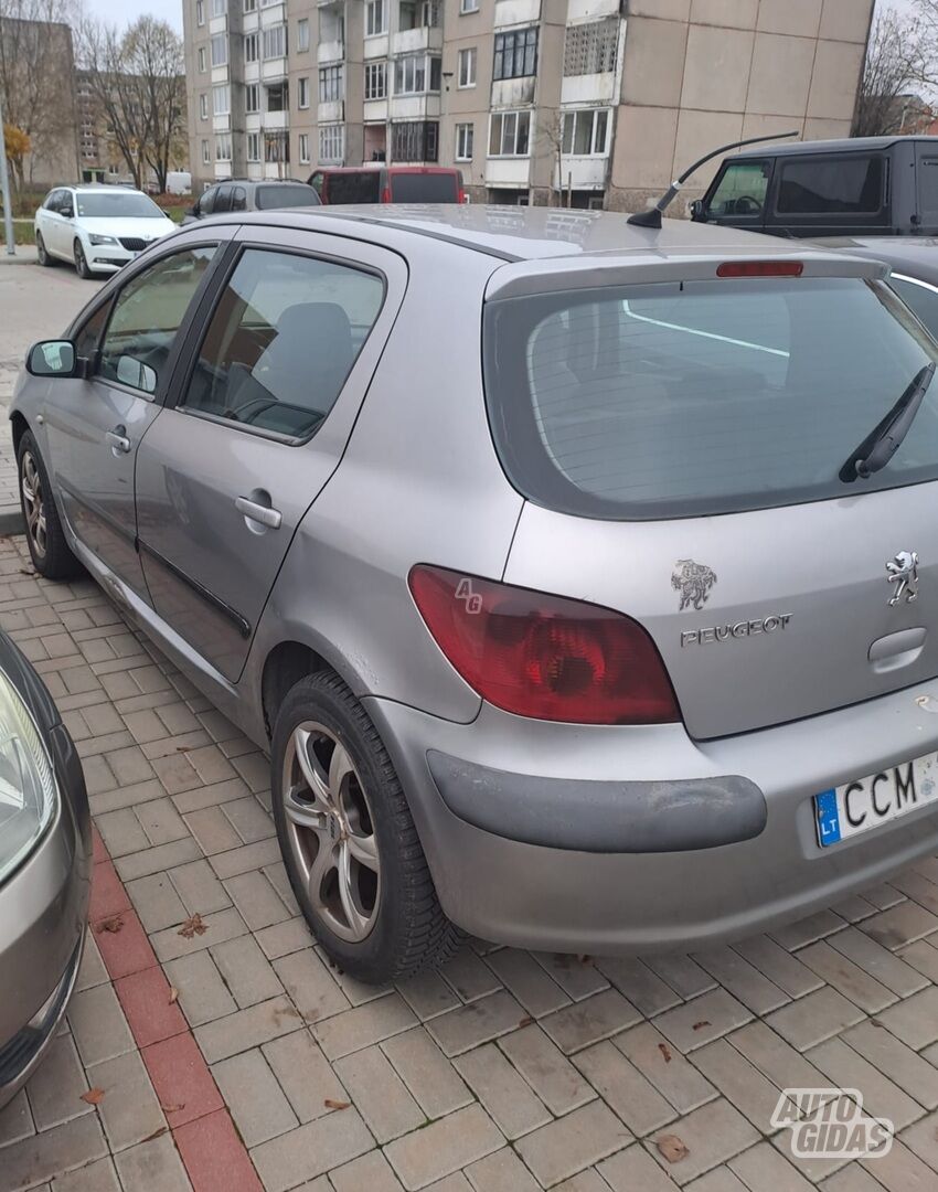 Peugeot 307 2002 m Hečbekas