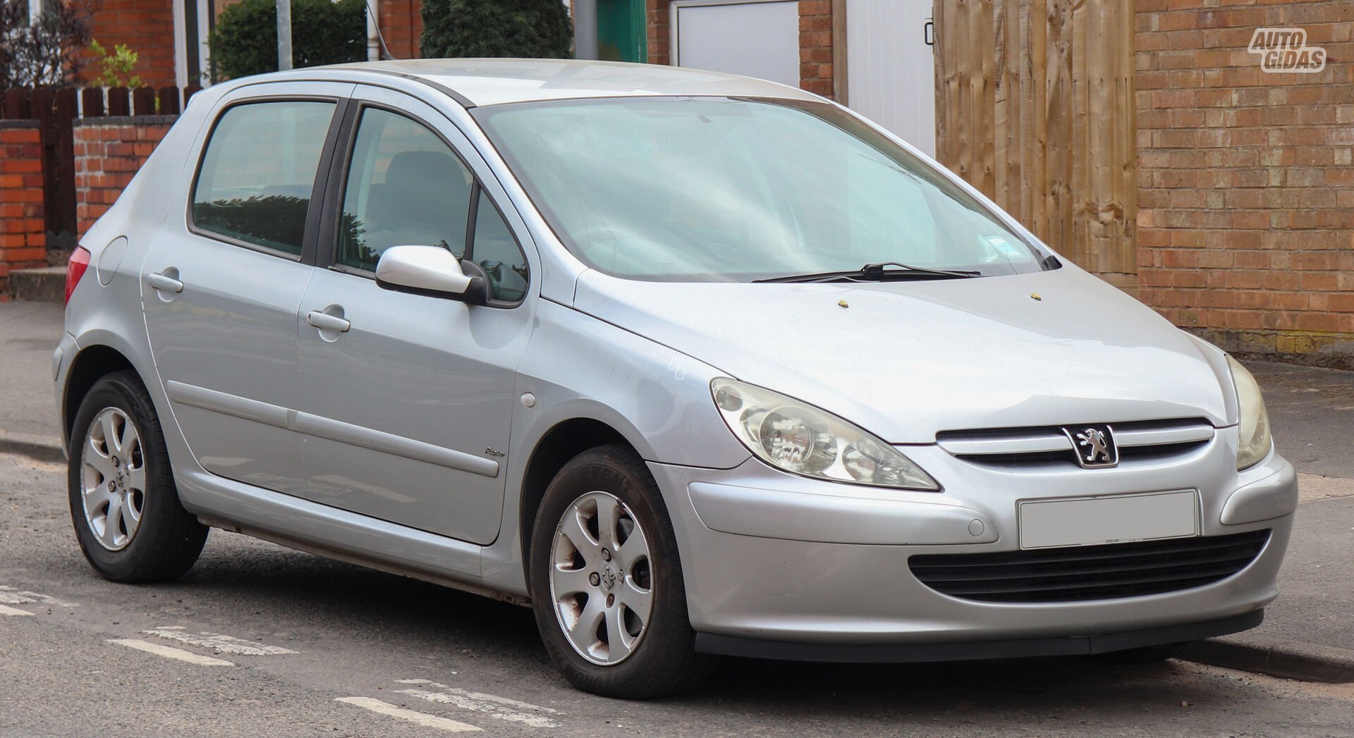 Peugeot 307 2004 m dalys