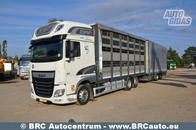 DAF XF 460 FAR 2016 y