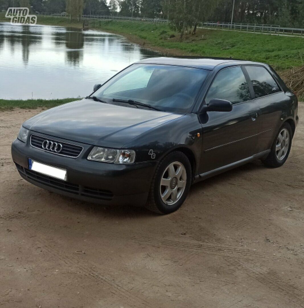 Audi A3 1998 m Hečbekas