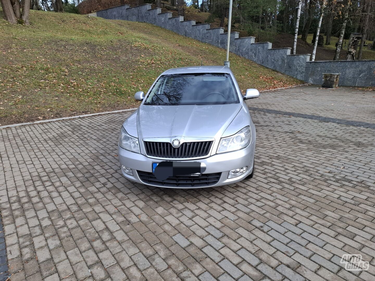 Skoda Octavia 2009 y Hatchback