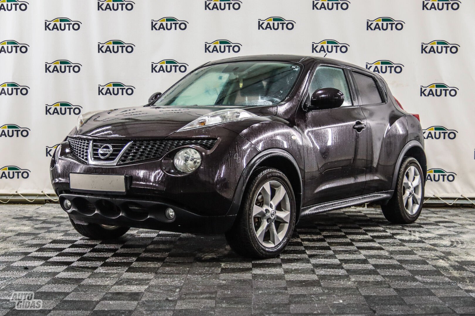 Nissan Juke 2013 г Внедорожник / Кроссовер