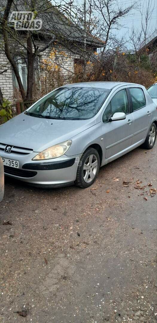 Peugeot 307 2002 m Hečbekas