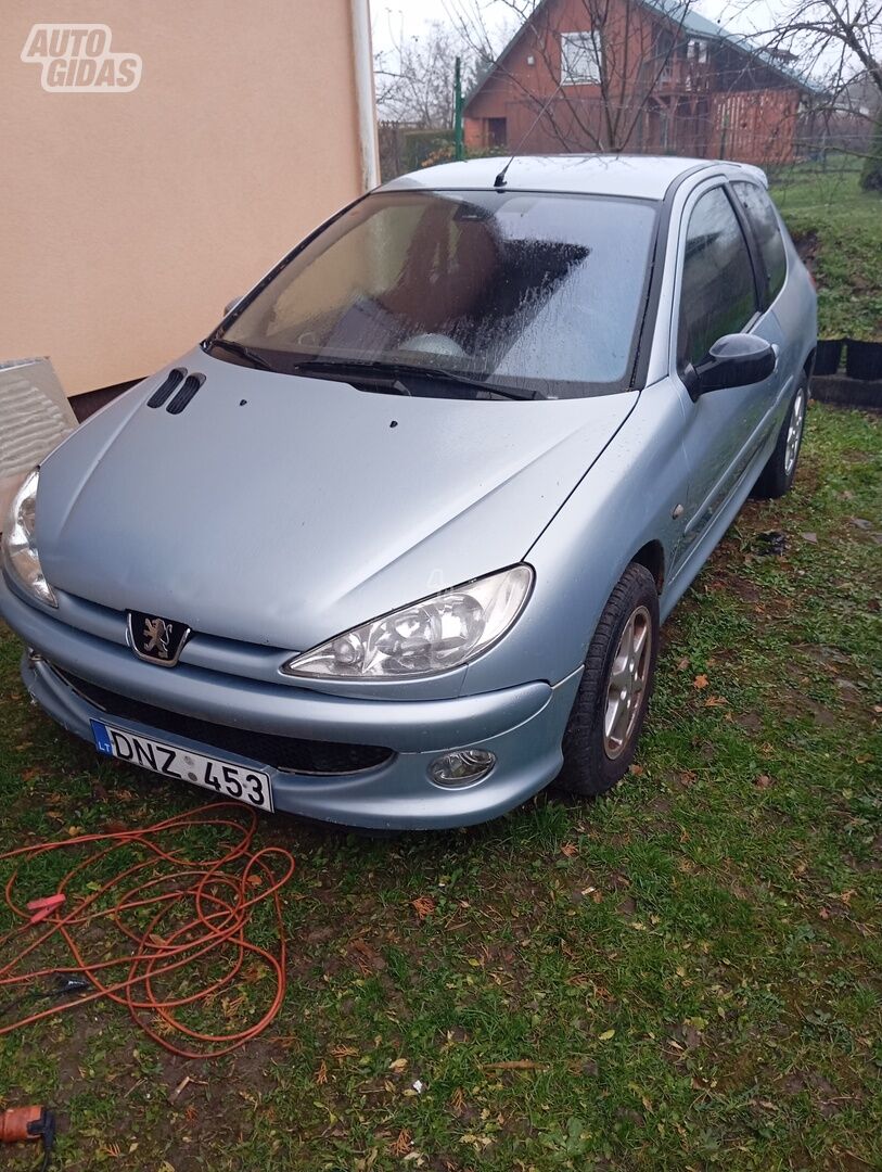 Peugeot 206 2001 m Hečbekas