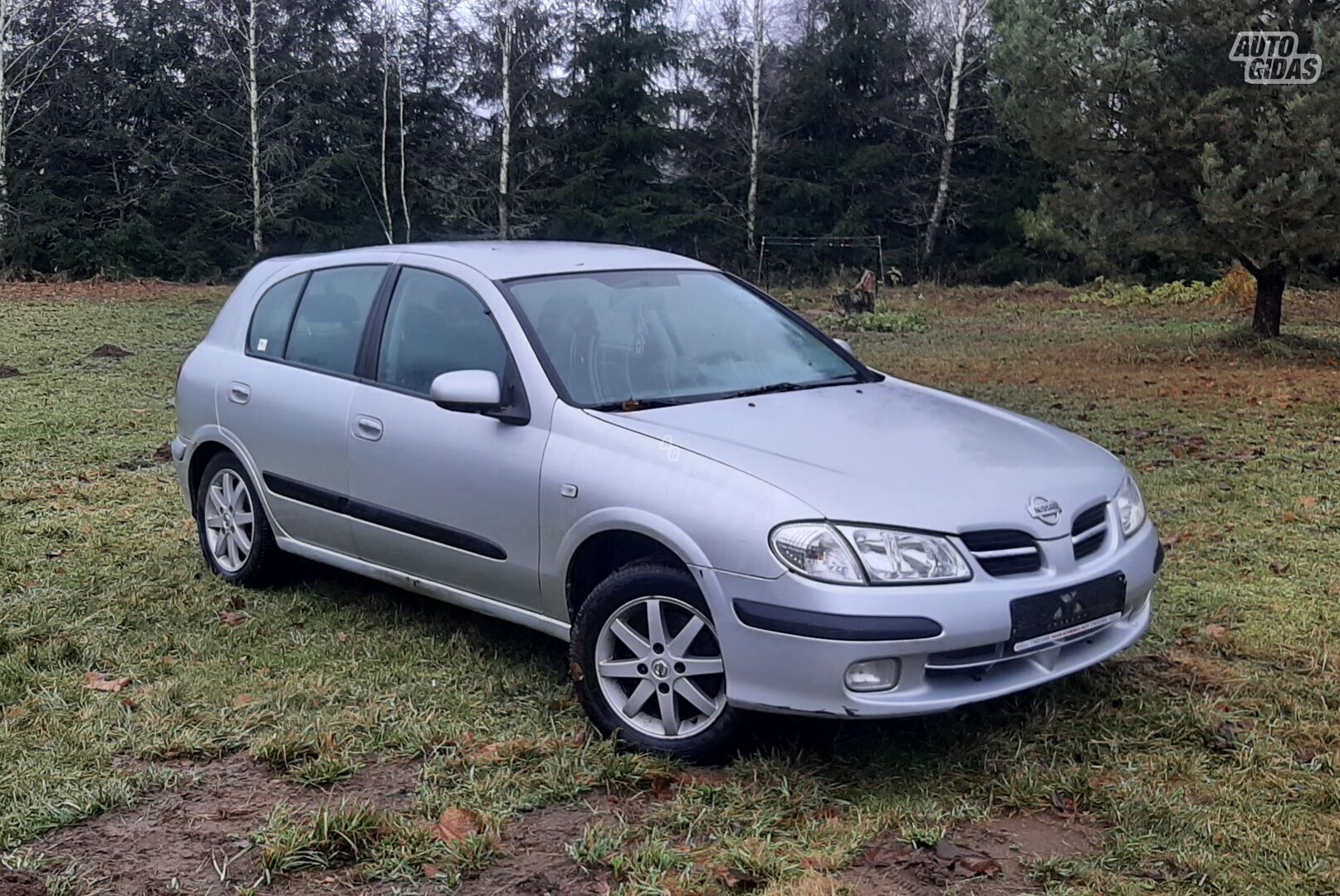 Nissan Almera I 2000 m