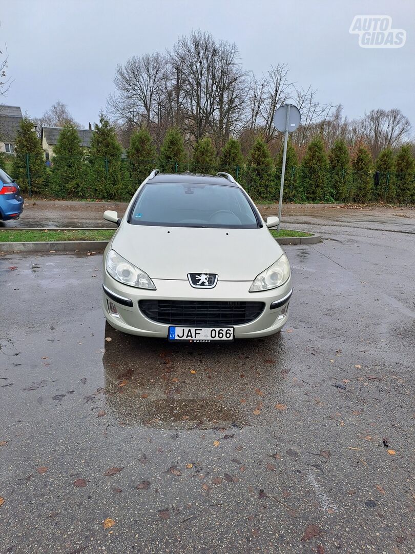 Peugeot 407 2005 y Wagon