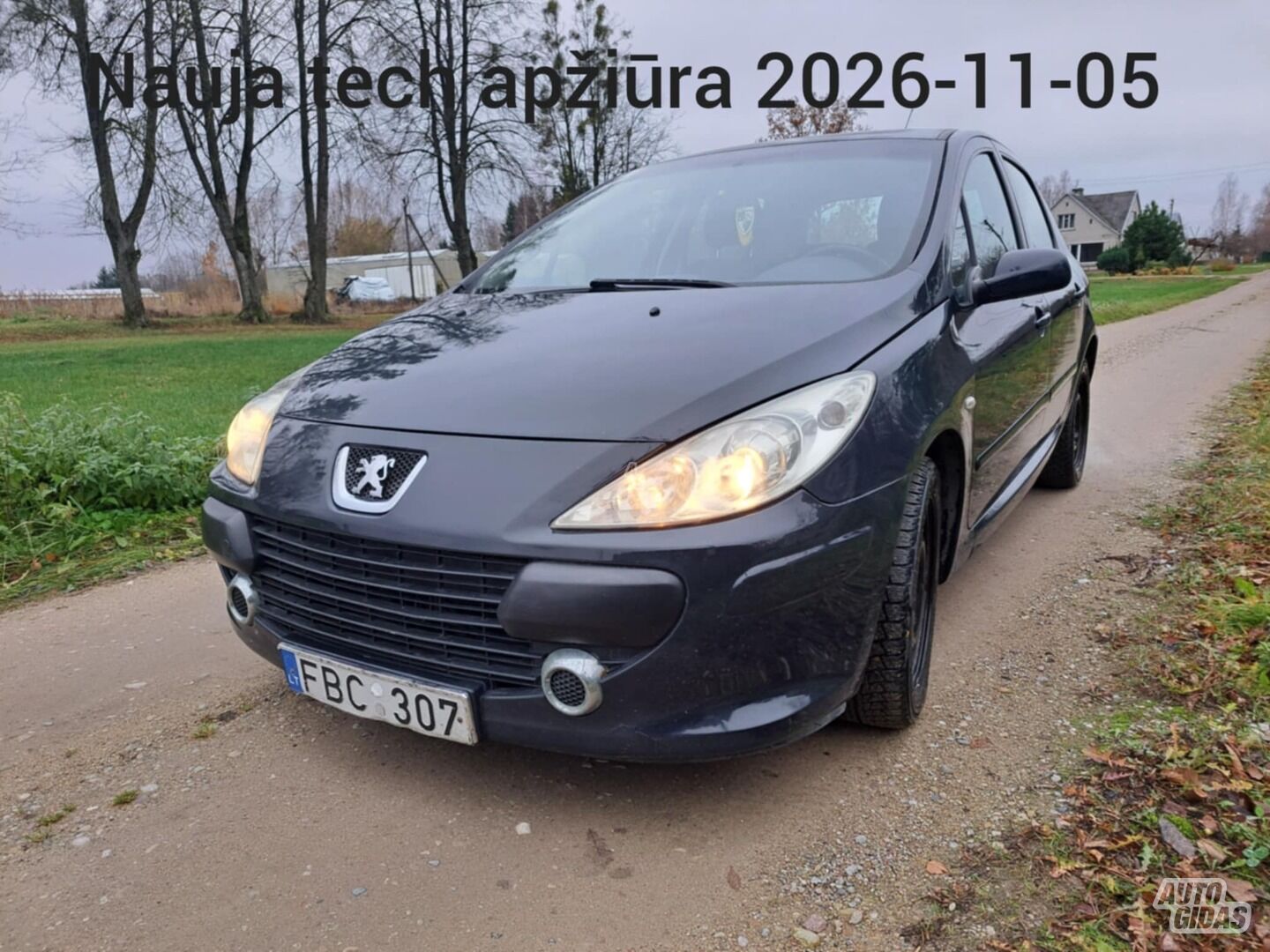 Peugeot 307 Hdi 2006 m